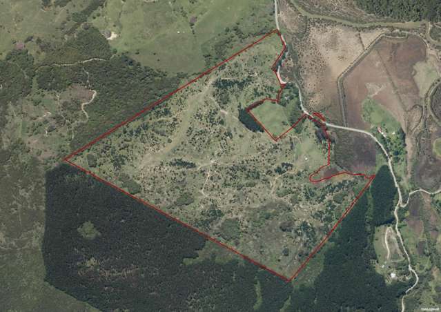 60ha Horeke Grazing, Hunting & Forestry Farm